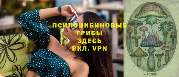 прущая мука Алзамай