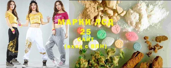 ГАЛЛЮЦИНОГЕННЫЕ ГРИБЫ Алексин