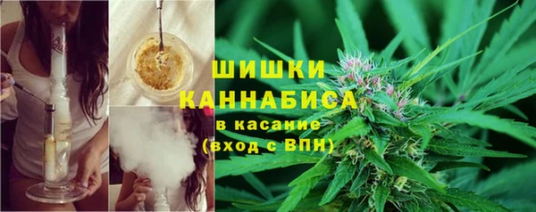 ГАЛЛЮЦИНОГЕННЫЕ ГРИБЫ Алексин