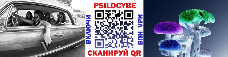 Псилоцибиновые грибы прущие грибы  Купить закладки  Снежногорск 